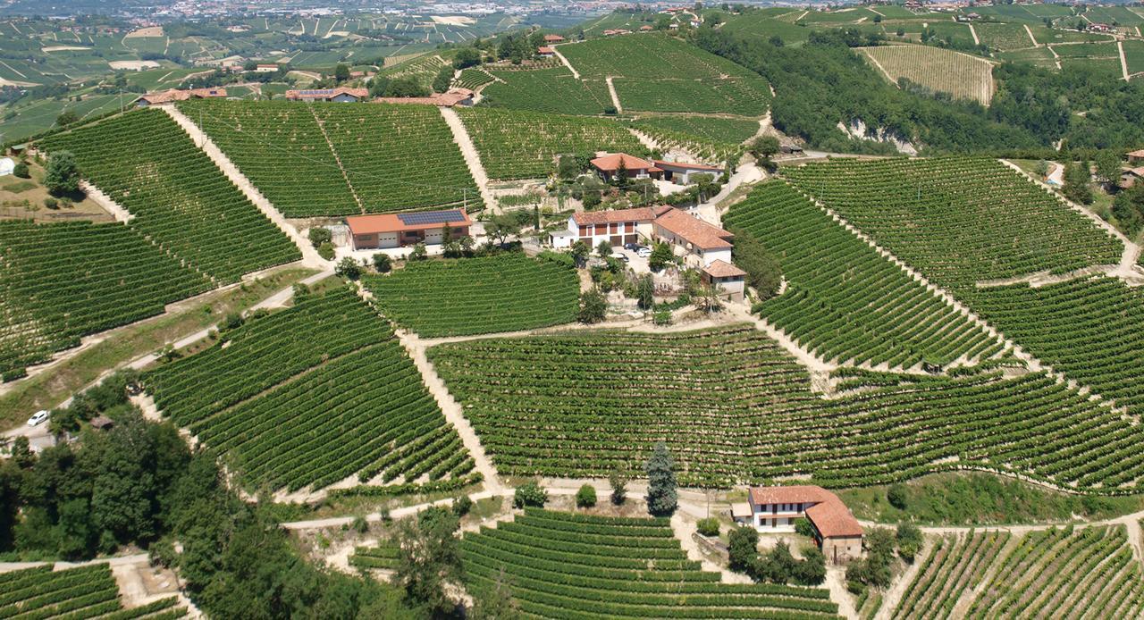 Agriturismo Finestre Di Langa Trezzo Tinella Exteriör bild